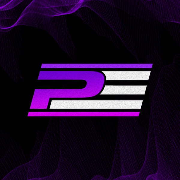Project Endurance Du Mans Livery