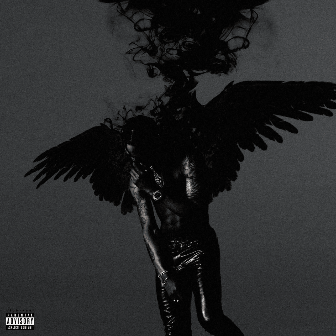 Birds in the trap quiz