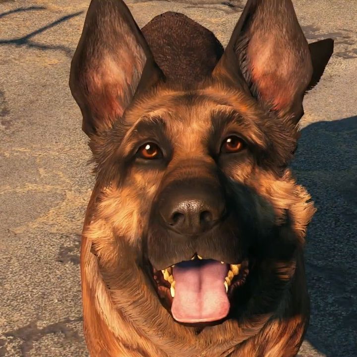 Fallout Companions