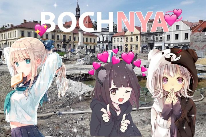 bochnia choose your fighter