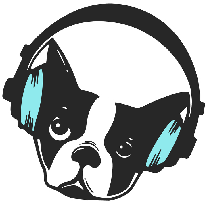 Snarky Puppy
