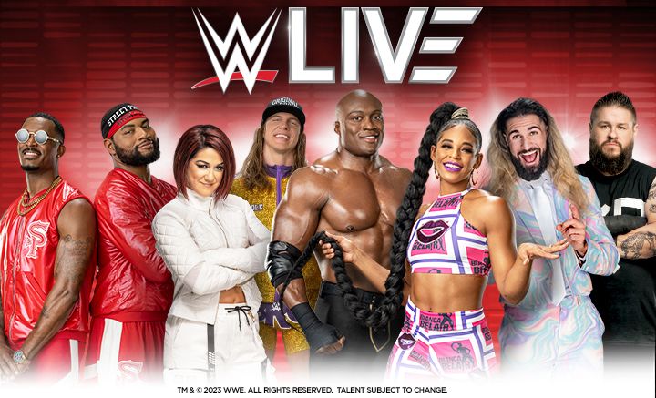 FAVOURITE WWE THEME