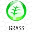 Grass Type Pokémon