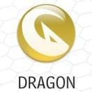 Dragon Type Pokémon