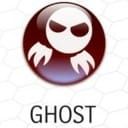 Ghost Type Pokémon