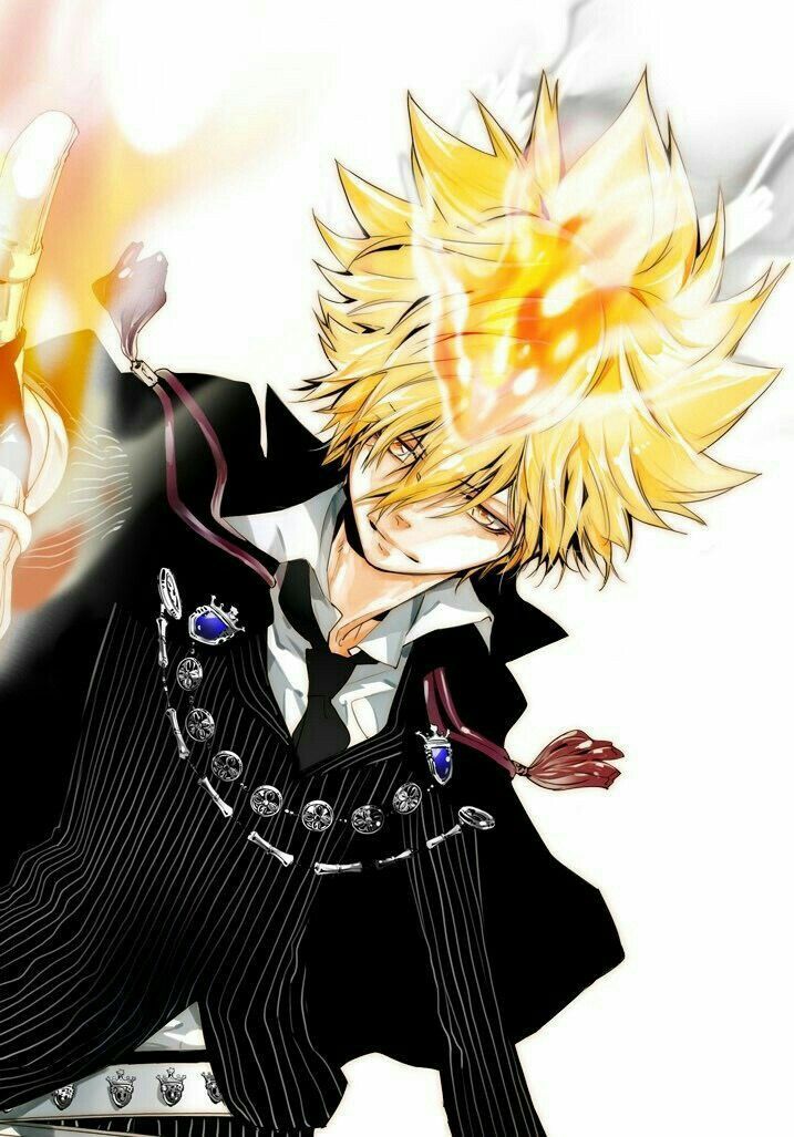 Katekyo Hitman Reborn!