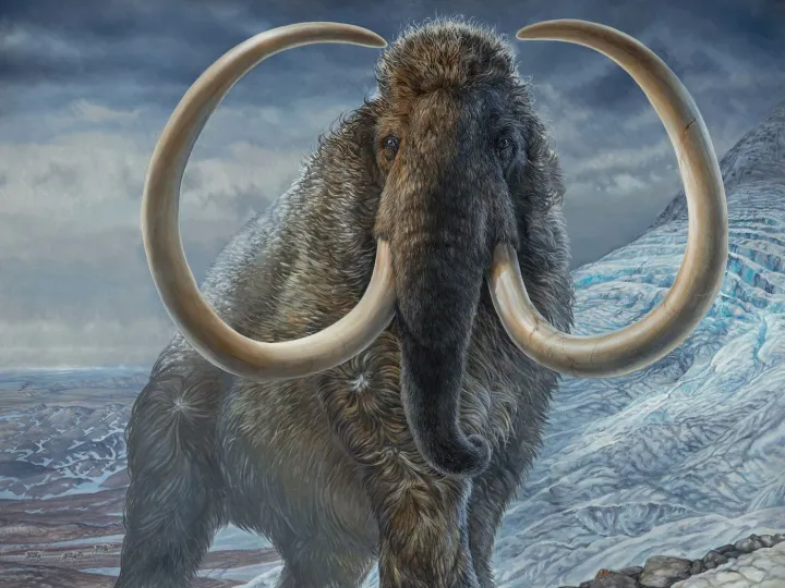 Coolest Prehistoric Creatures