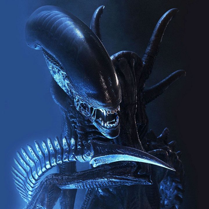 Favorite Alien Showdown