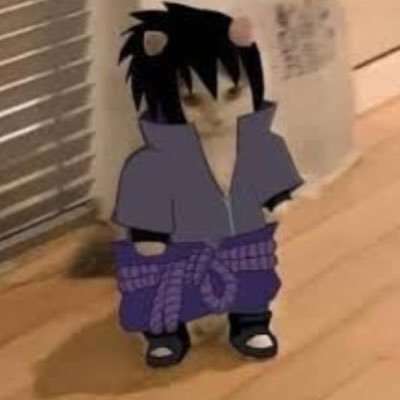 Anime OP/ED 500+songs