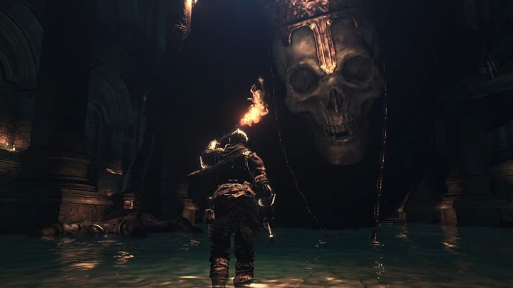 TOP Soulsborne Bosses