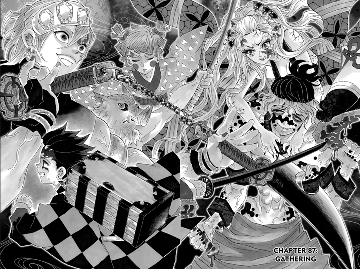 Kimetsu Panels