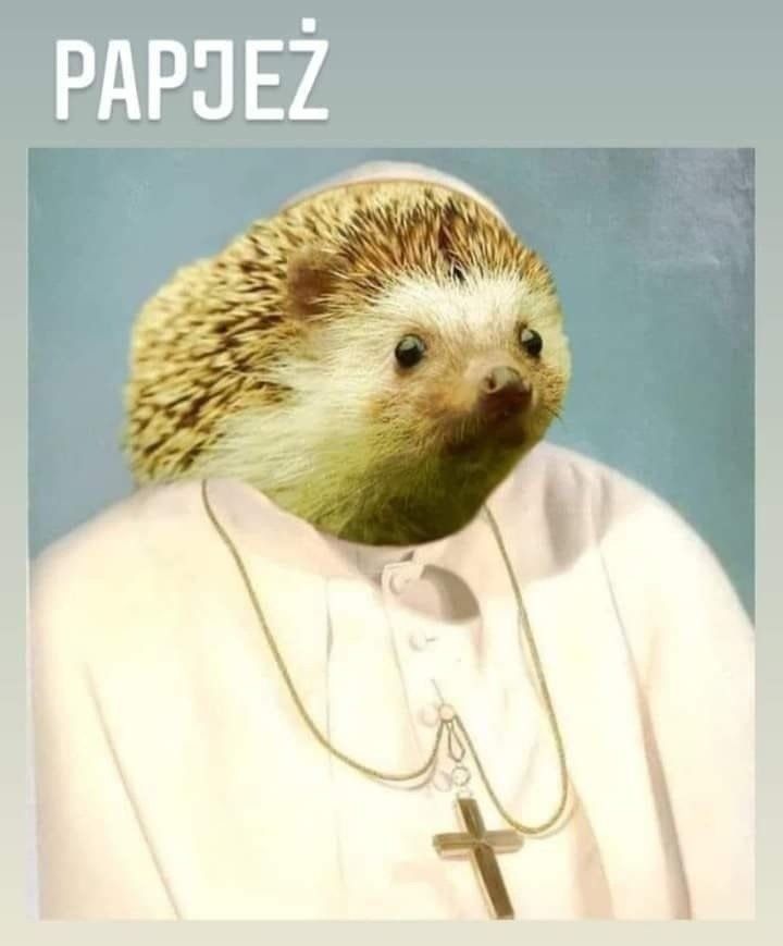 kościół