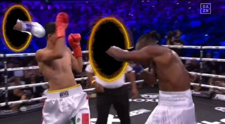 Best INFLUENCER BOXER 2022