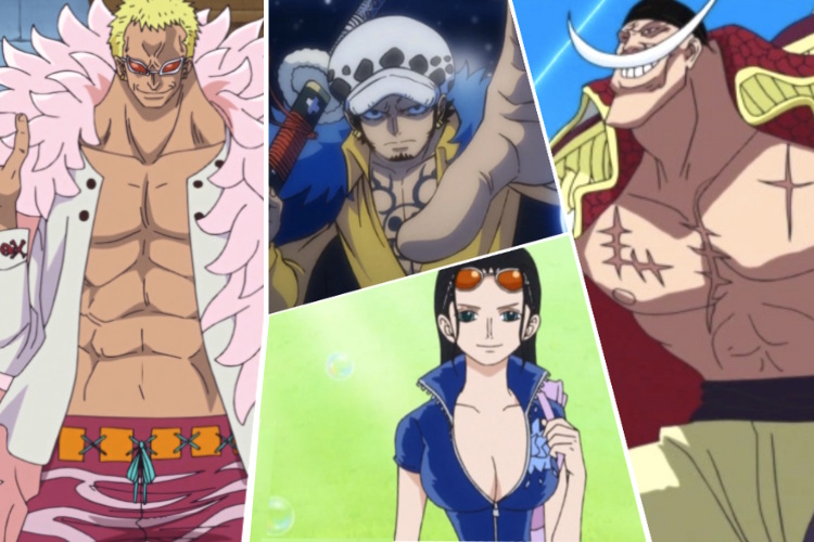Best Paramecia Devil Fruits OP