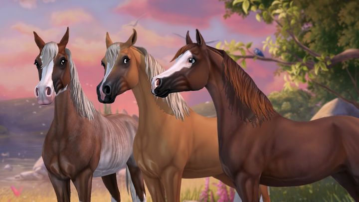 Best Star Stable Breed
