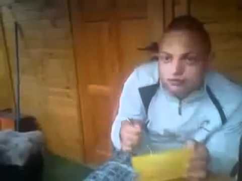 POLISH BEST BENGERS