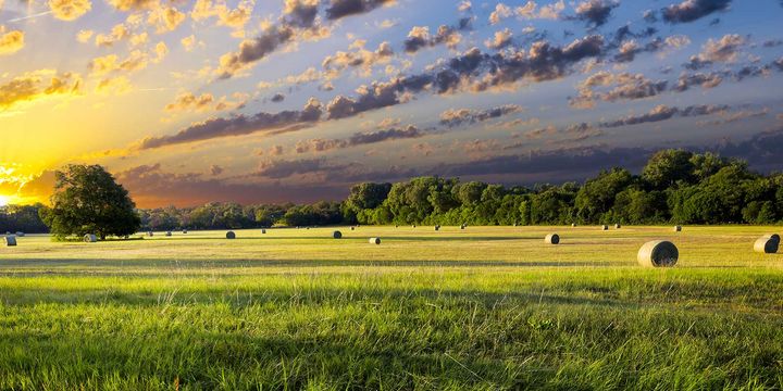 Country