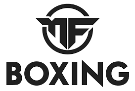 Influencer Boxing ( P4P )