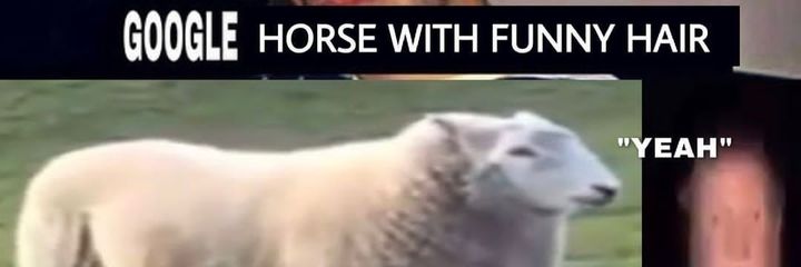 The