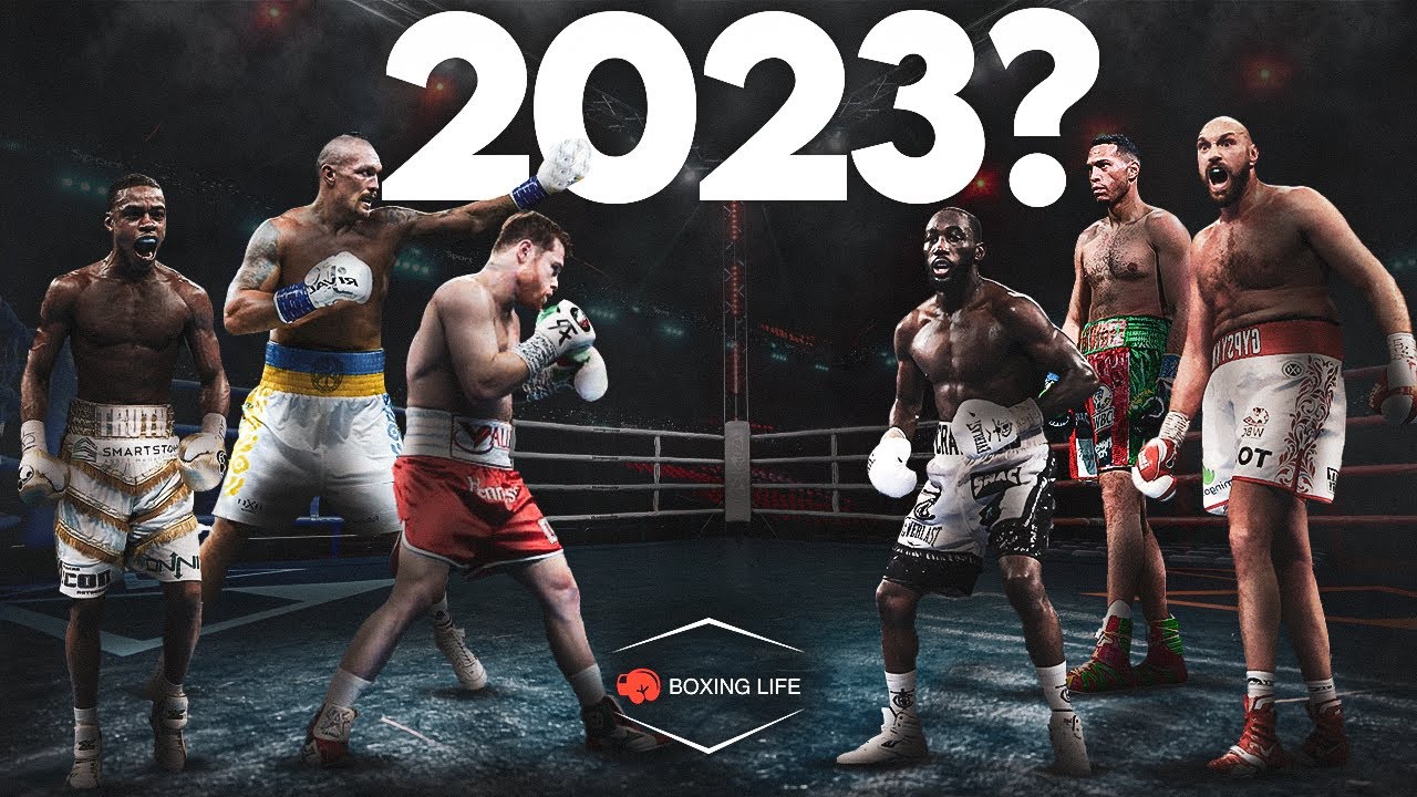 Best Boxer 2023