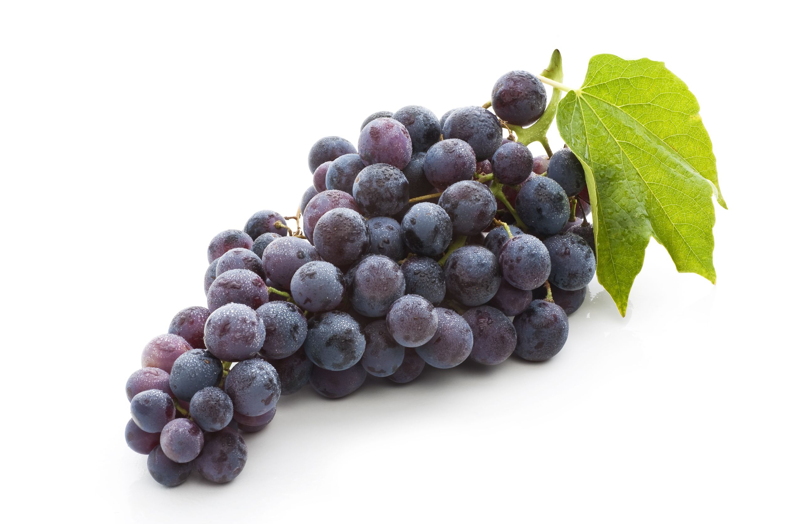 Mejor fruta