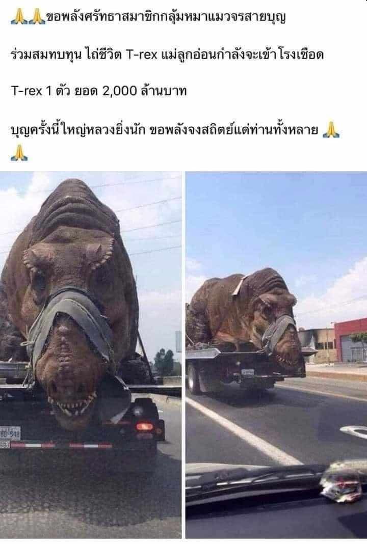 ไดโน park ( จัดหนัก for สมาอม )