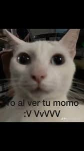 canciones random