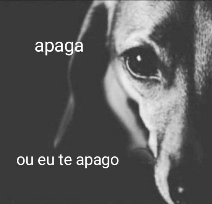 MELHOR MÚSICA DE 2024