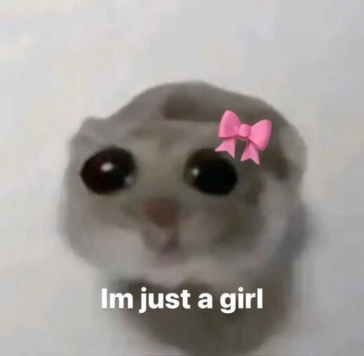 BEST MEME 