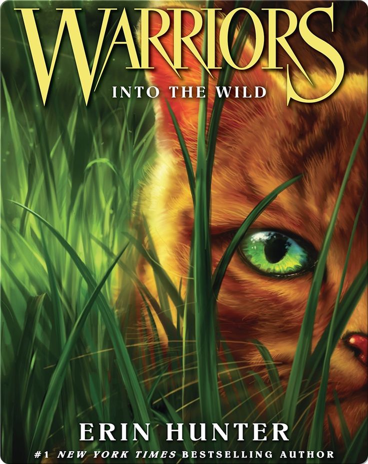 Warrior Cats characters