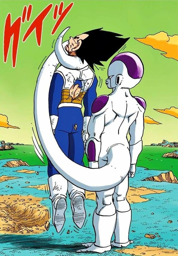 Dragon ball fight