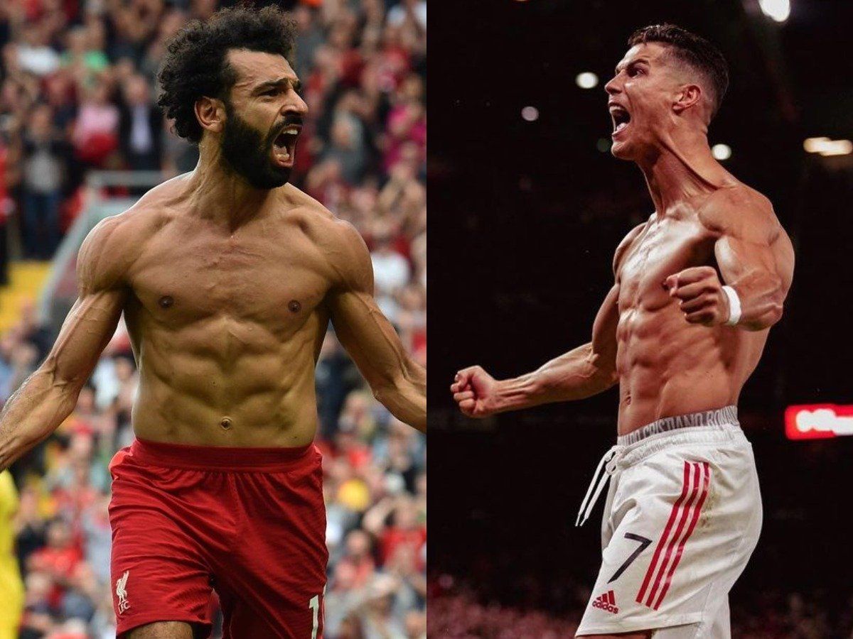 Which one can crush the other in fighting and milf fucking?