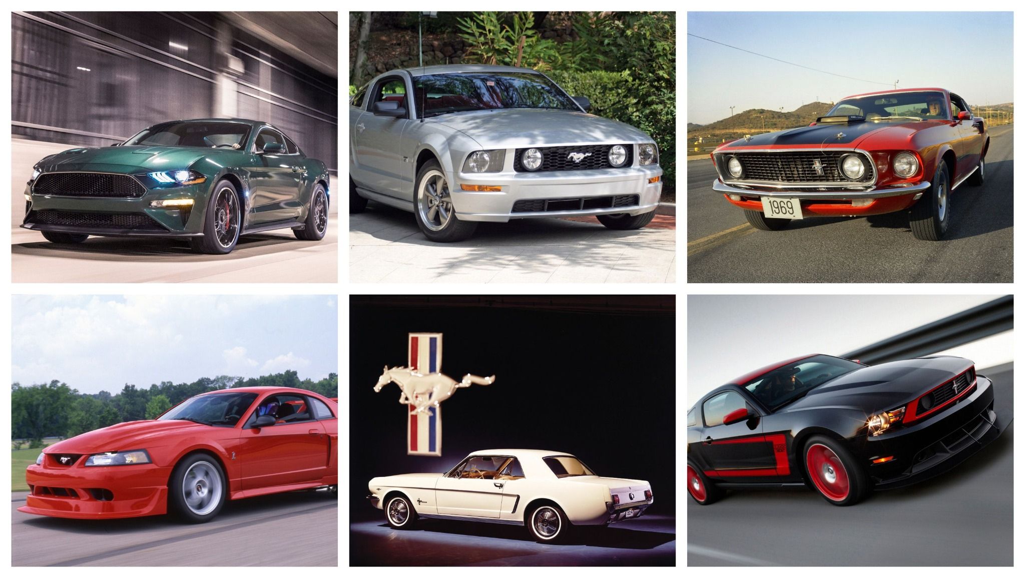 Mustangs