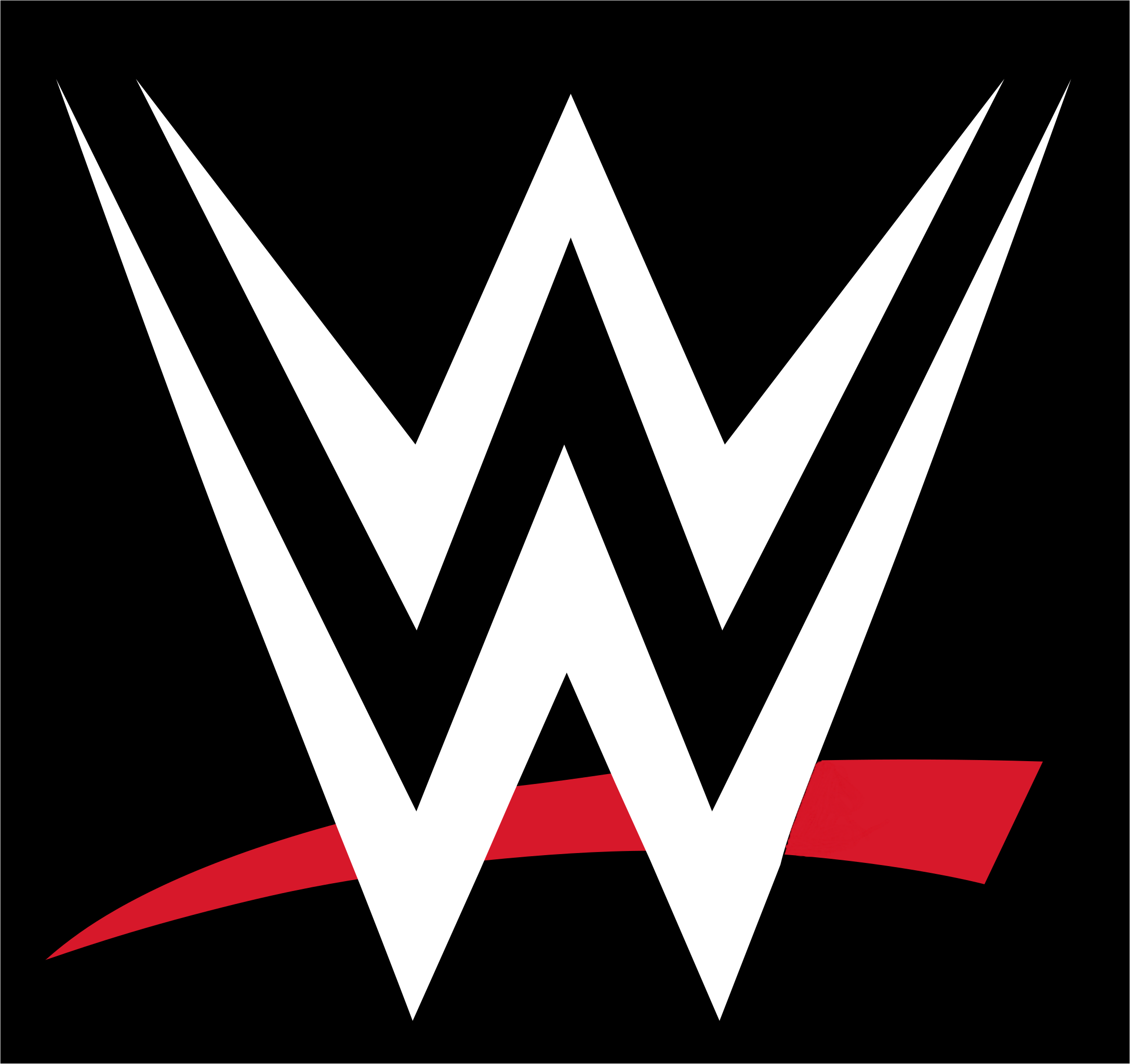 WWE 2025 Women's (not NXT)