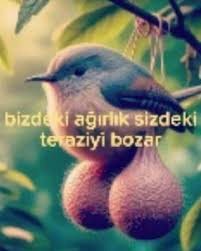 son yuzyilin en daşşaklı çarları
