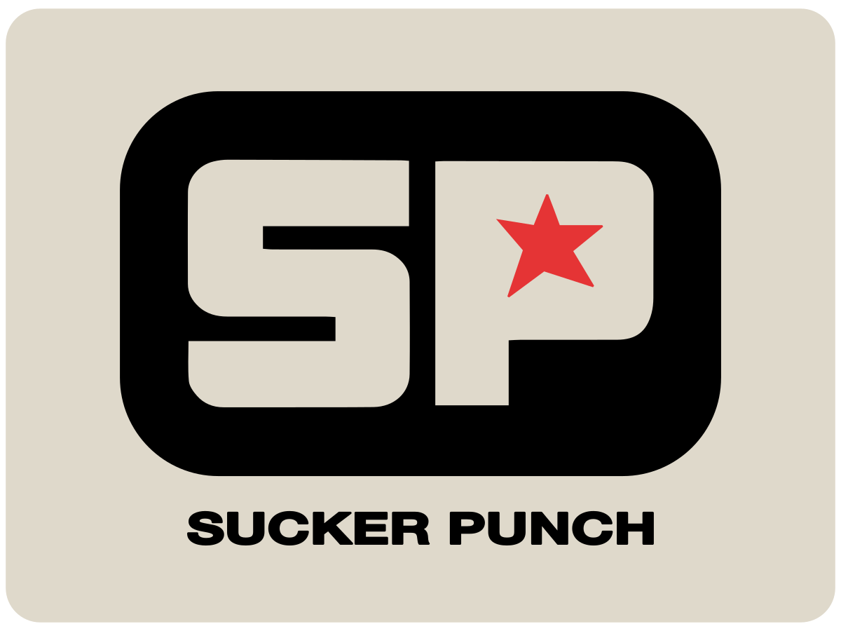 Every Sucker Punch Production Games