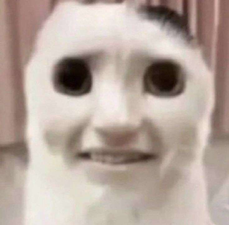 Stupid images