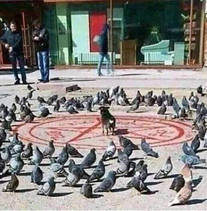 Cursed Images
