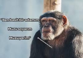 Ortaya Karışık 