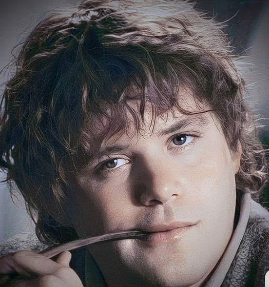 Men of Lord of the Rings