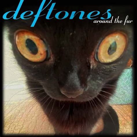 Around the fur (Deftones) 