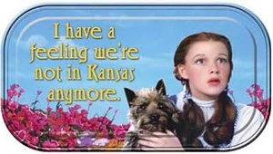 best quote in the history of cinema