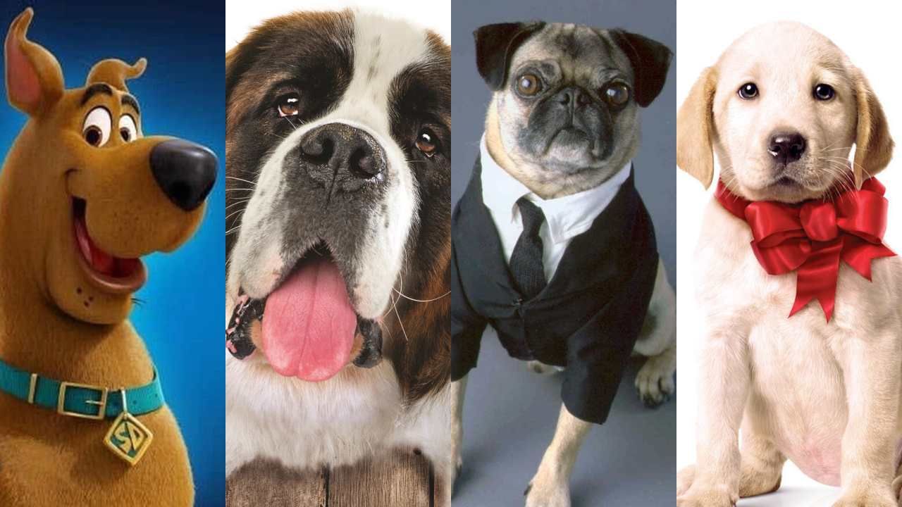 O Melhor Cachorro da Ficção.