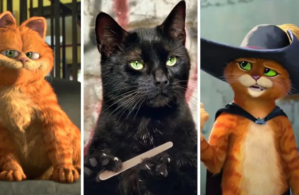 O Melhor Gato da Ficção.