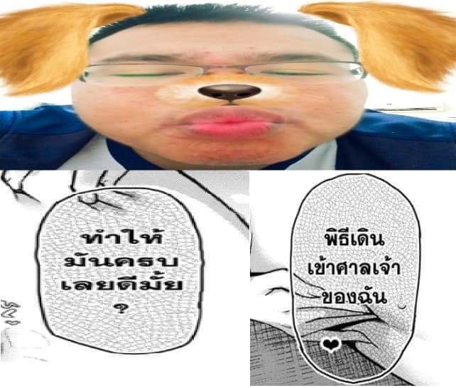 เพลงที่ฟอสชอบที่สุด