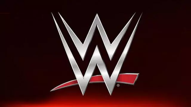Best 2025 WWE Match