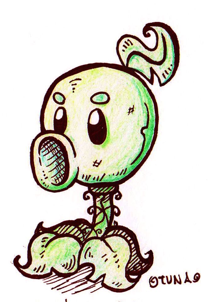 The best PVZ plant