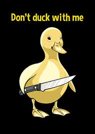 funnyduc