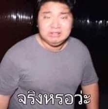 เพลง Minecraft Roleplay TH