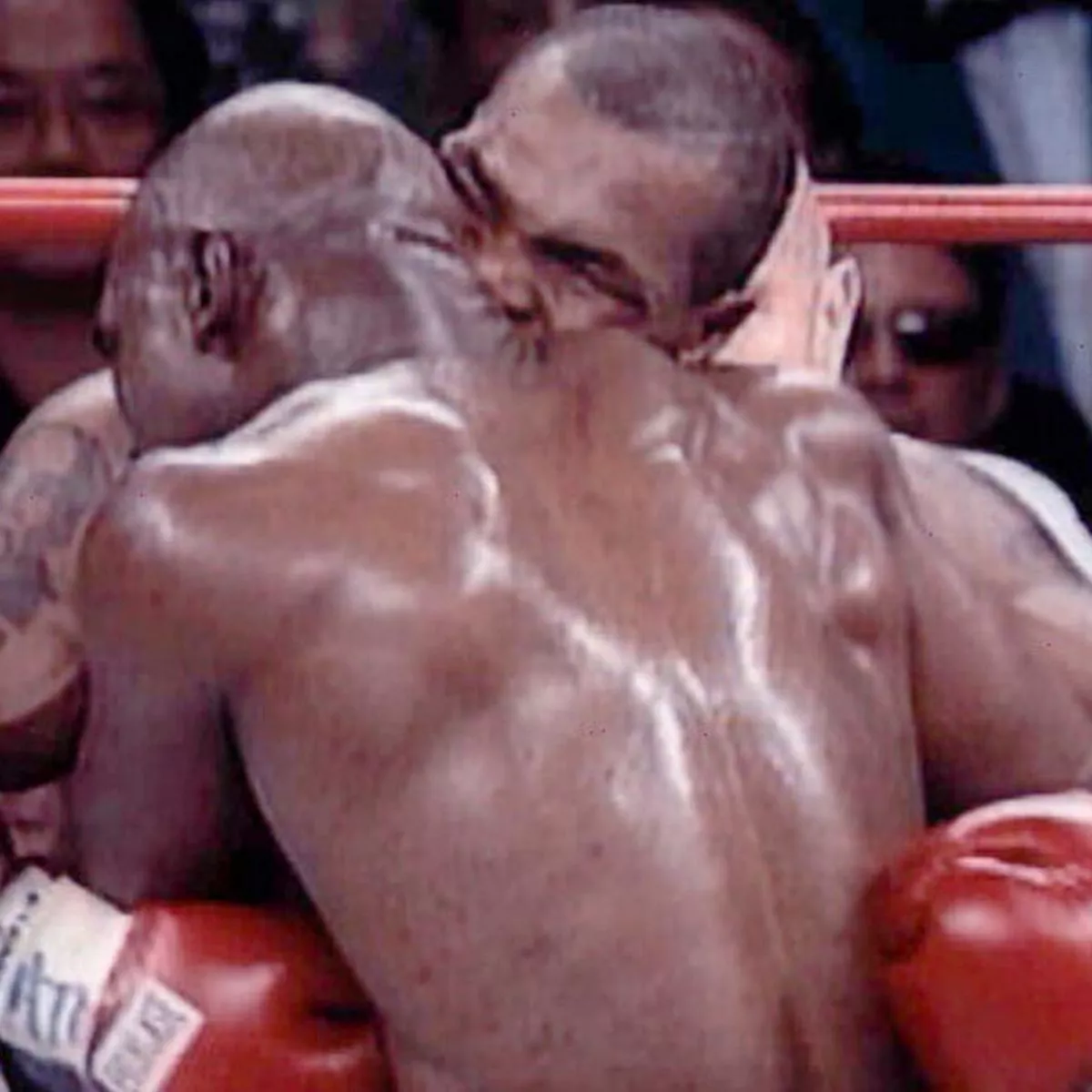 1990s Heavyweight Boxing Title Fights